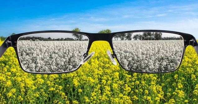 Renk Körü hangi sayıyı göremez?